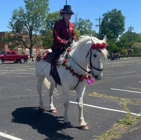 Meet your Posher, Trudi - Picture 1 of 1